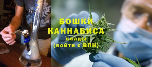 гашик Балахна