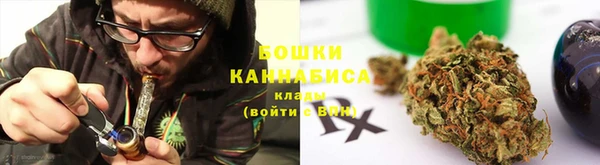PSILOCYBIN Баксан