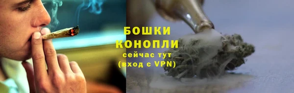 ПСИЛОЦИБИНОВЫЕ ГРИБЫ Балабаново