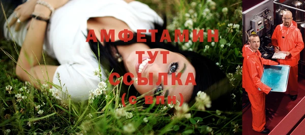 PSILOCYBIN Баксан