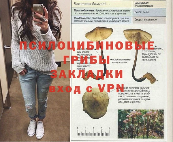 ПСИЛОЦИБИНОВЫЕ ГРИБЫ Балабаново
